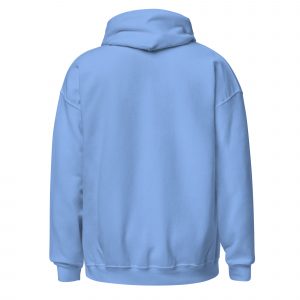 unisex-heavy-blend-hoodie-carolina-blue-back-6859c91aeb56f.jpg