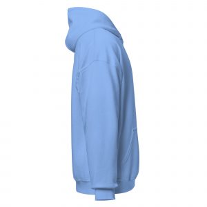 unisex-heavy-blend-hoodie-carolina-blue-right-6859c91ae1f5d.jpg