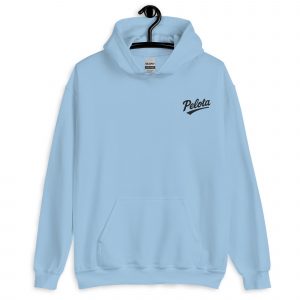 unisex-heavy-blend-hoodie-light-blue-front-6859c98bd4ea8.jpg