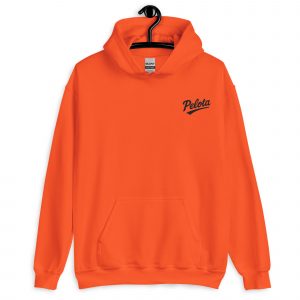 unisex-heavy-blend-hoodie-orange-front-6859c98baba08.jpg