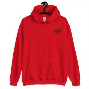 unisex-heavy-blend-hoodie-red-front-6859c98b9602a.jpg