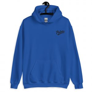 unisex-heavy-blend-hoodie-royal-front-6859c98b98993.jpg